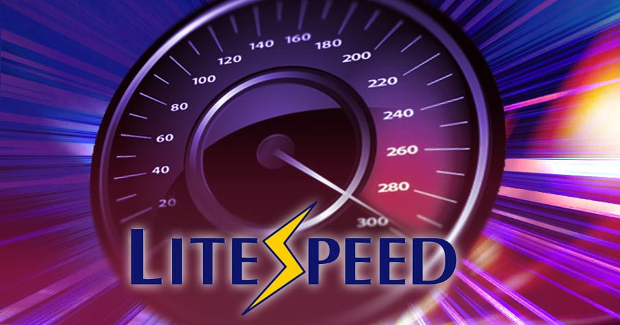 Litespeed Web Server and WordPress